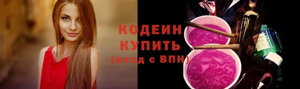 ГАЛЛЮЦИНОГЕННЫЕ ГРИБЫ Горняк