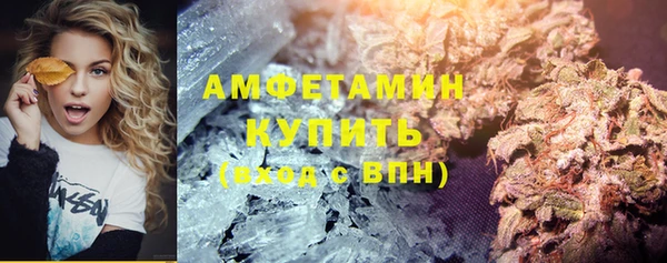 ГАЛЛЮЦИНОГЕННЫЕ ГРИБЫ Горняк