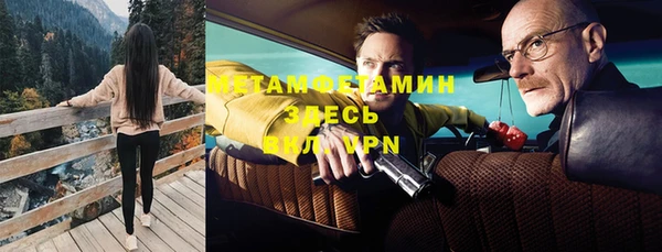 ГАЛЛЮЦИНОГЕННЫЕ ГРИБЫ Горняк