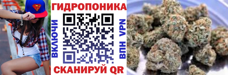 Купить где  Кашира  Конопля планчик 